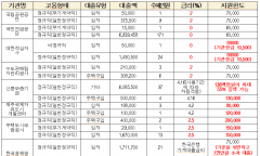 정부 지침은 휴지조각? 공공기관 22곳, 사내대출 특혜 운영