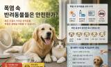 [기획 리포트] 긴 폭염 속 반려동물은 안전한가 … 
