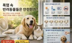 [기획 리포트] 긴 폭염 속 반려동물은 안전한가 … "사람보다 더 위험하다" 전문가들 경고 속의 여름 생존법