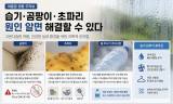 [기획 리포트] 여름철 습기·곰팡이·초파리 … 무심코 한 행동이 집안을 오염시킨다