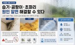 [기획 리포트] 여름철 습기·곰팡이·초파리 … 무심코 한 행동이 집안을 오염시킨다