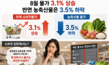 “농축산물 3.5% 하락이라는 통계는 맞지만, 그것이 곧 체감물가 하락을 의미하는 것은 아니다