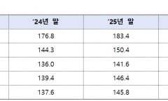 대출 조였지만 가계빚 41조 늘었다…은행 막자 보험권으로 번진 ‘풍선효과’