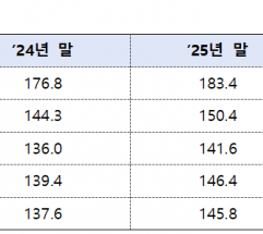 대출 조였지만 가계빚 41조 늘었다…은행 막자 보험권으로 번진 ‘풍선효과’