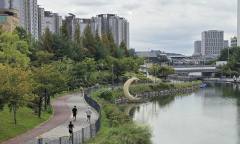 선선한 가을, '가벼운 운동은 아침이 좋을까 저녁이 좋을까'