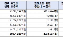 같은 청년인데 은행 따라 달라지는 주담대 한도…장래소득 인정 비중 최대 29배 차이