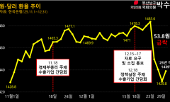 재경부, 7대 수출기업에 '11년치 외환·해외자회사 자료' 요구 파문