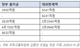 HUG 전세보증 대위변제 '눈덩이'…정부 출자금 6.4조원, 세금으로 메운 전세사기 후폭풍