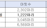 살아있다더니 행방묘연…한국마사회 ‘가짜 생존마’ 둔갑시킨 말 복지의 민낯