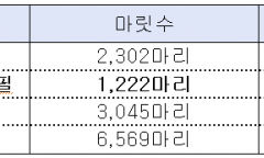 살아있다더니 행방묘연…한국마사회 ‘가짜 생존마’ 둔갑시킨 말 복지의 민낯