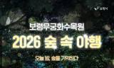 보령의 가을밤, 숲이 빛으로 물든다…‘2026 숲속야행’ 23일 개막