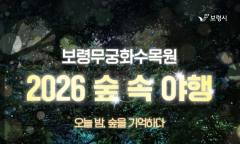 보령의 가을밤, 숲이 빛으로 물든다…‘2026 숲속야행’ 23일 개막