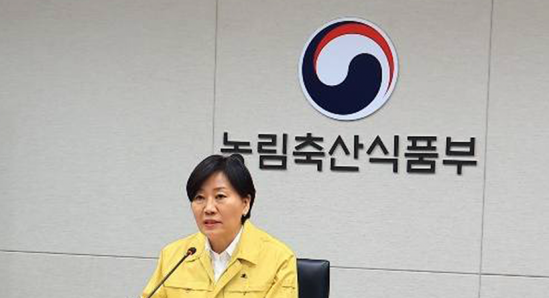 돼지 잔반사료 20개월 만에 2.6배 급증…‘개식용 종식’ 맞물려 ASF 방역 뇌관 되나
