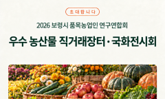 보령시, 우수농산물 직거래 장터·국화전시회 개최