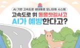 도로 위 고라니, AI가 먼저 발견한다…청주 국도 17호선에 '로드킬 경보'