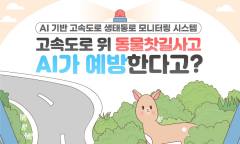 도로 위 고라니, AI가 먼저 발견한다…청주 국도 17호선에 '로드킬 경보'